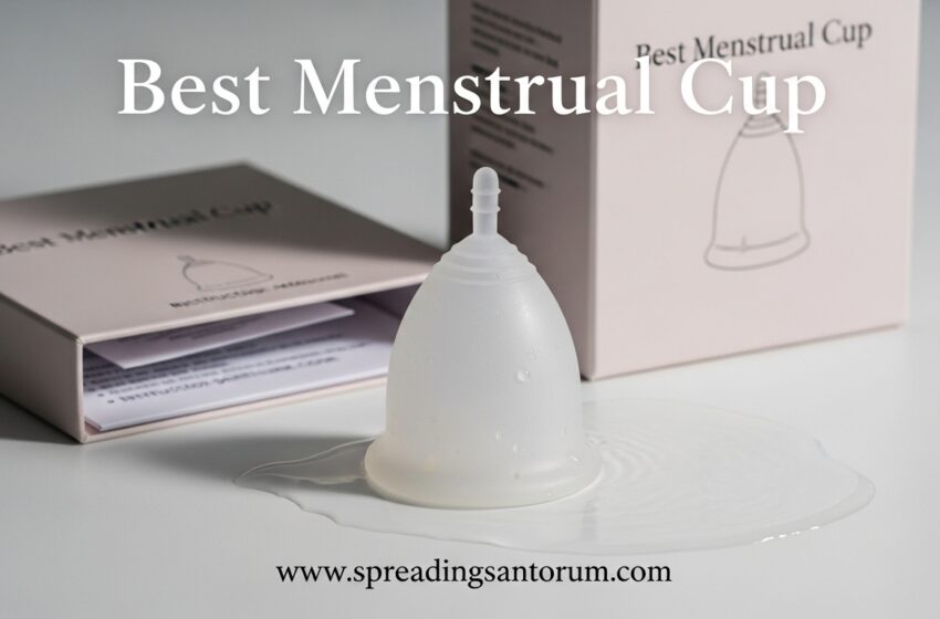  8 Best Menstrual Cup (June 2026) Models Tested