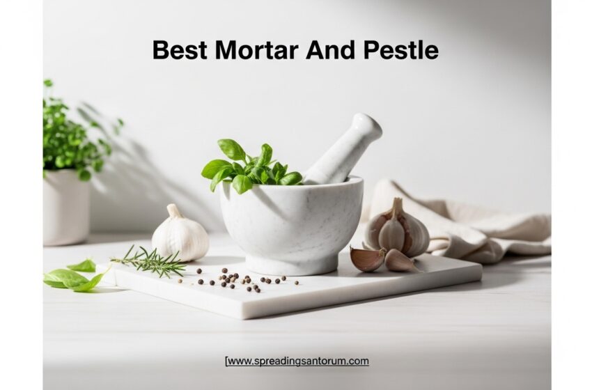  10 Best Mortar And Pestle (June 2026) Sets Tested