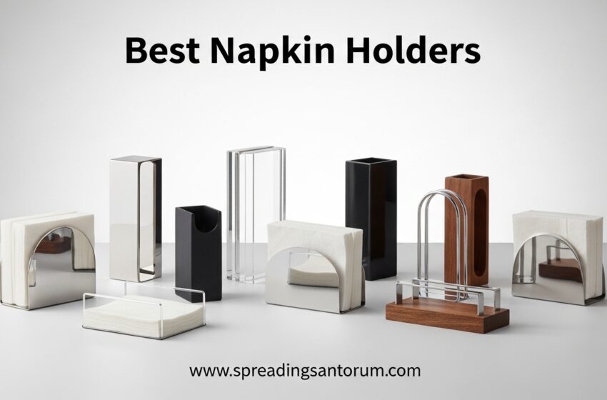  10 Best Napkin Holders (June 2026) Complete Guide