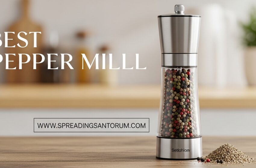  10 Best Pepper Mill (June 2026) Perfect Grind Tested