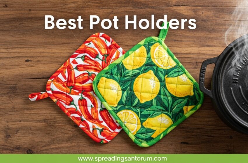  10 Best Pot Holders (June 2026) Heat Protection