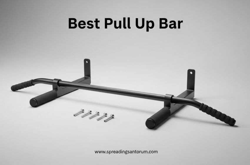  8 Best Pull Up Bar (June 2026) Tested & Reviewed