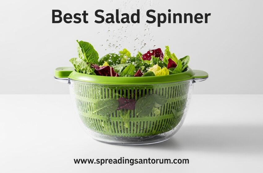 8 Best Salad Spinner (June 2026)  Dry, Crisp Greens