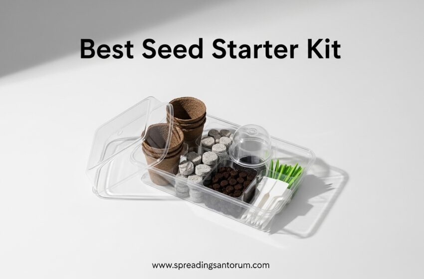  6 Best Seed Starter Kit (June 2026) Tested