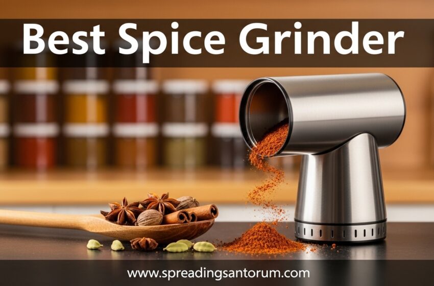  10 Best Spice Grinder (June 2026) Models Tested