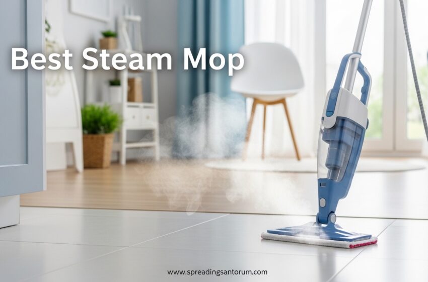  10 Best Steam Mop (June 2026) Models Tested