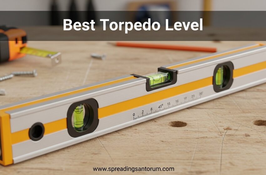  12 Best Torpedo Level (June 2026) Professional Reviews