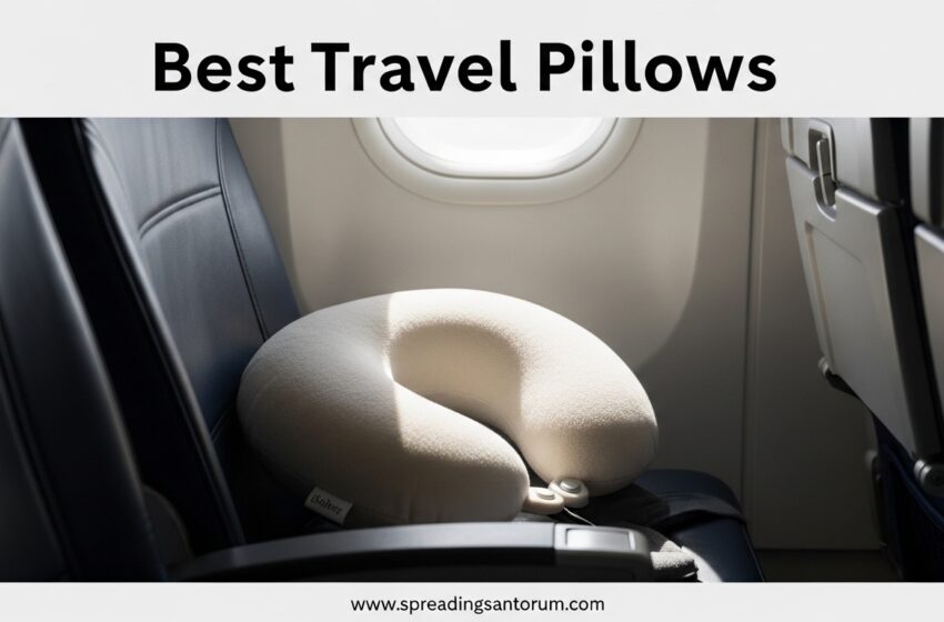  10 Best Travel Pillows (June 2026) Models Tested