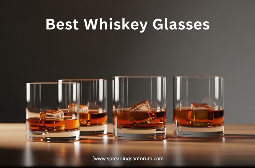  12 Best Whiskey Glasses (June 2026) Expert Tested