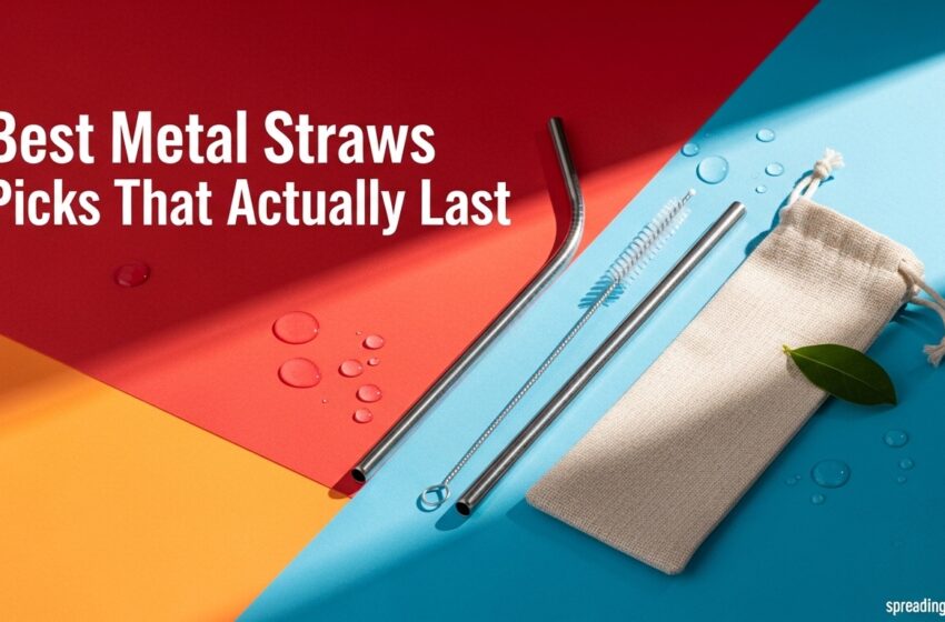  Best Metal Straws Picks That Actually Last May 2026