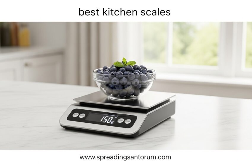  10 Best Kitchen Scales (June 2026) Accuracy & Performance