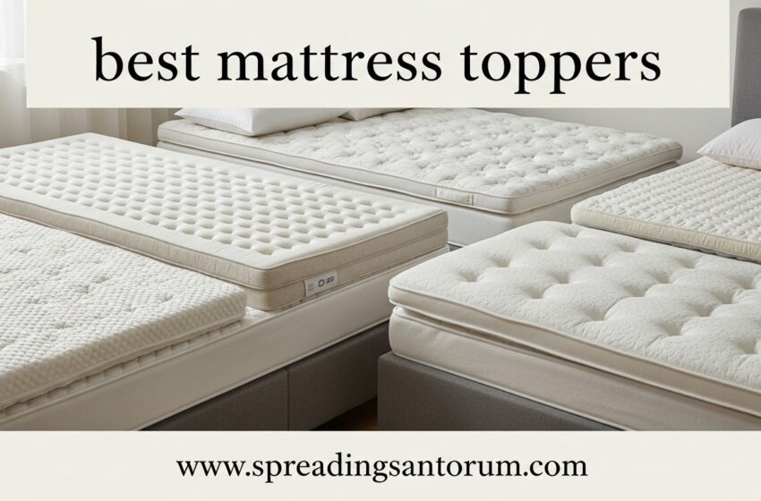  12 Best Mattress Toppers (June 2026) Models Tested
