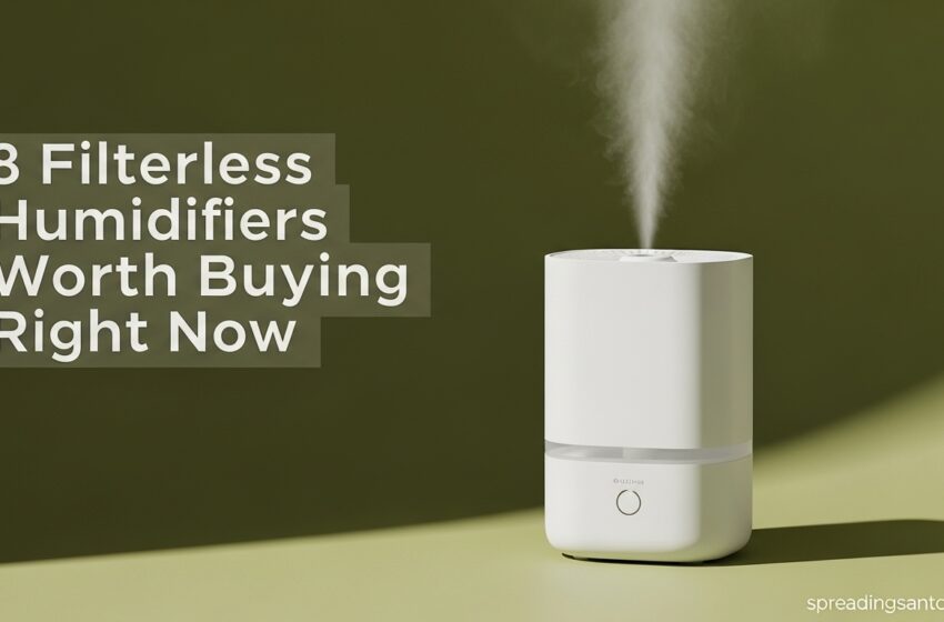  8 Best Filterless Humidifiers Experts Trust June 2026