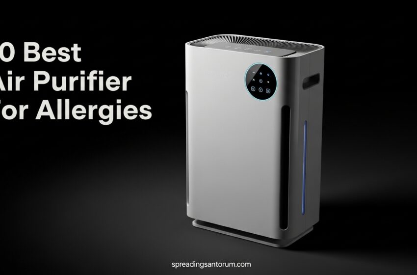  10 Best Air Purifier For Allergies That Work May 2026