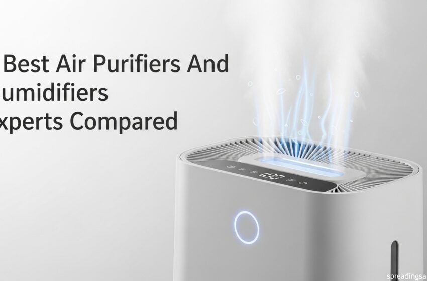  Best Air Purifier Humidifier Combos Worth Buying June 2026