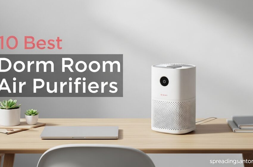 10 Best Dorm Room Air Purifiers Tested Picks May2026
