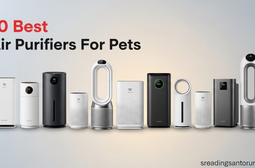  10 Best Air Purifiers For Pets That Work May 2026