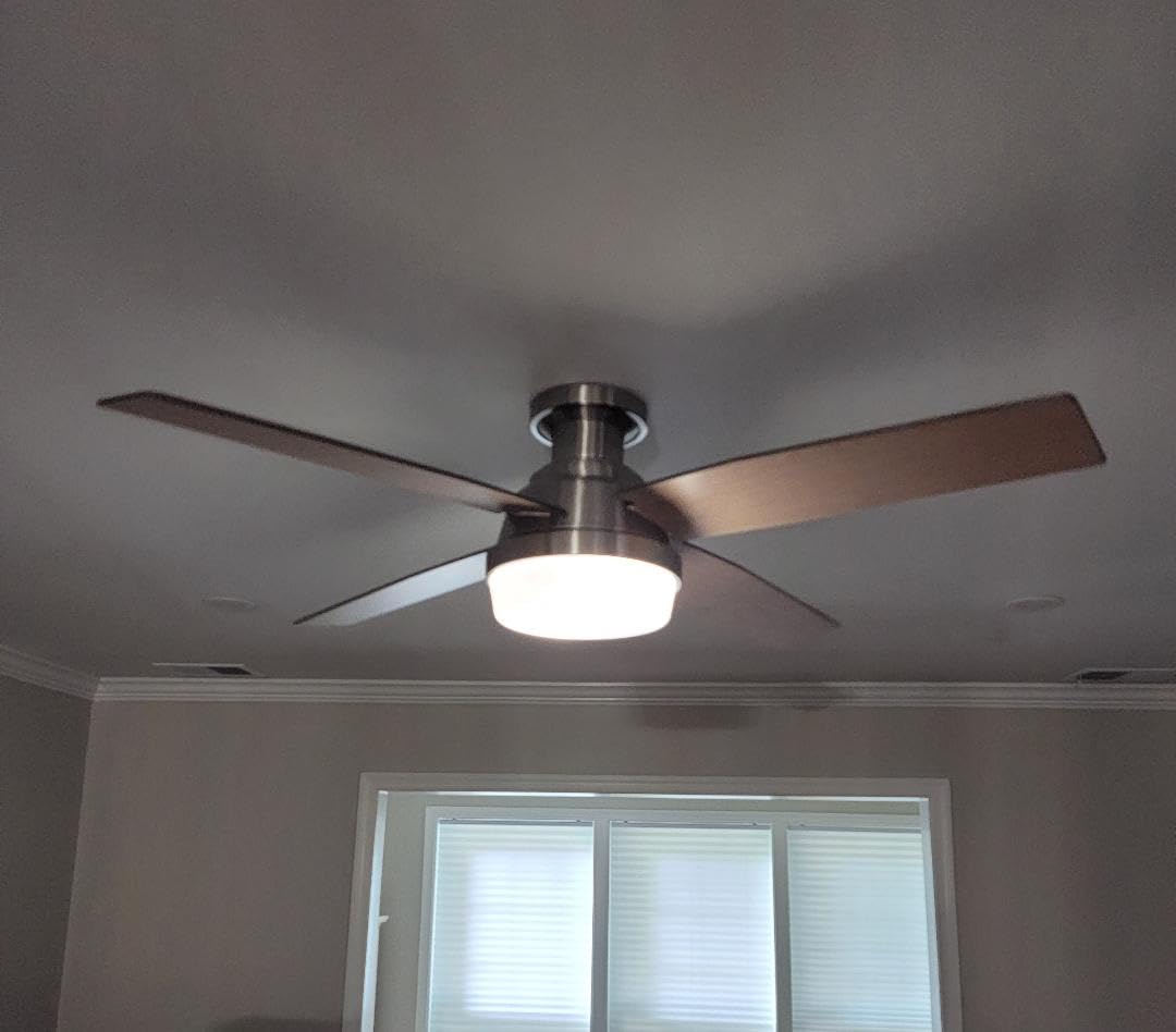 Hunter 44 inch Indoor Ceiling Fan with LED Light and Remote Control - Modern Ceiling Fan, Low Profile Mount, 4 Black Oak Blades, For Bedroom, Living Room, or Kitchen - Dempsey 59243, Brushed Nickel customer photo 1
