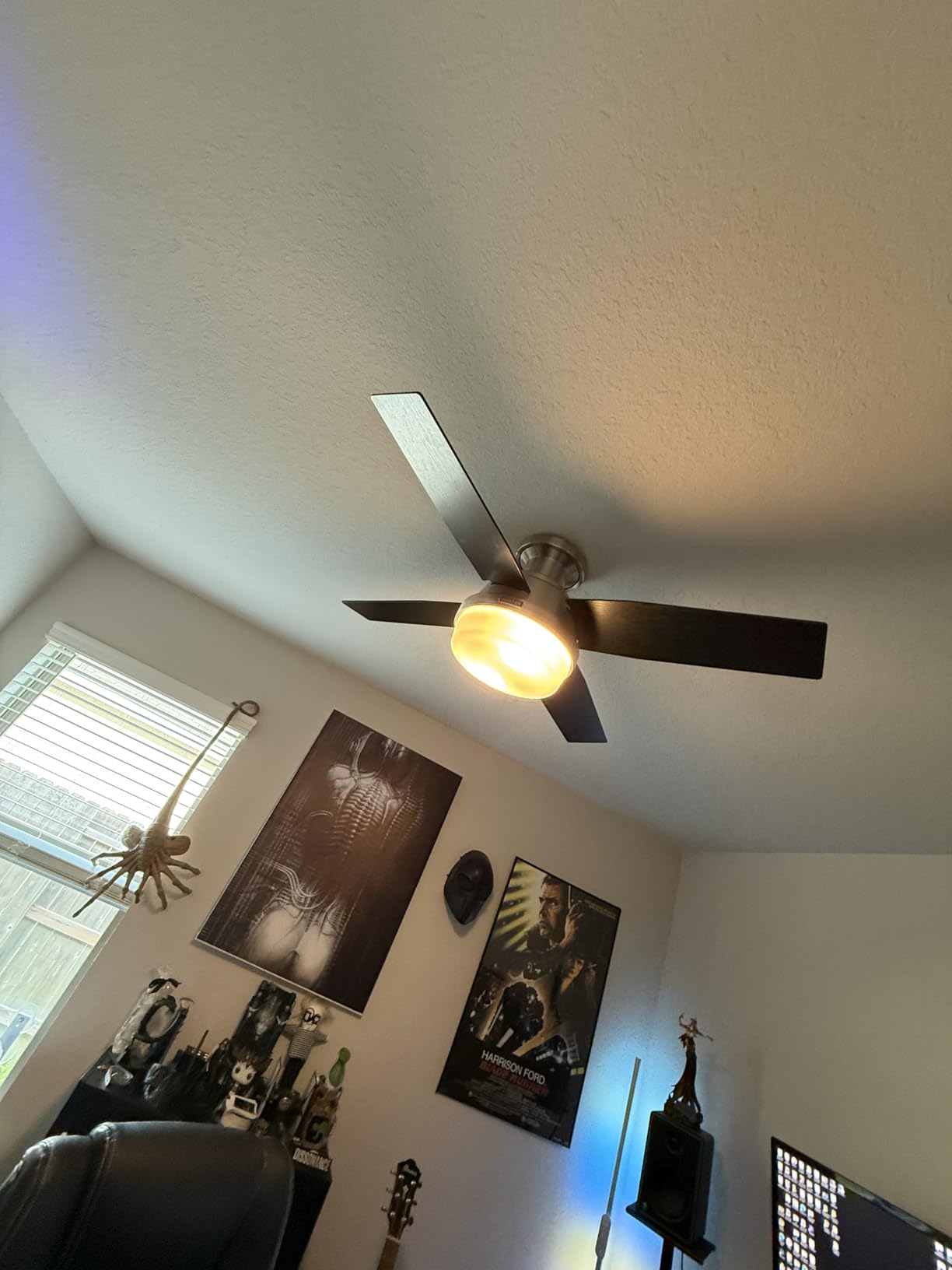 Hunter 44 inch Indoor Ceiling Fan with LED Light and Remote Control - Modern Ceiling Fan, Low Profile Mount, 4 Black Oak Blades, For Bedroom, Living Room, or Kitchen - Dempsey 59243, Brushed Nickel customer photo 2