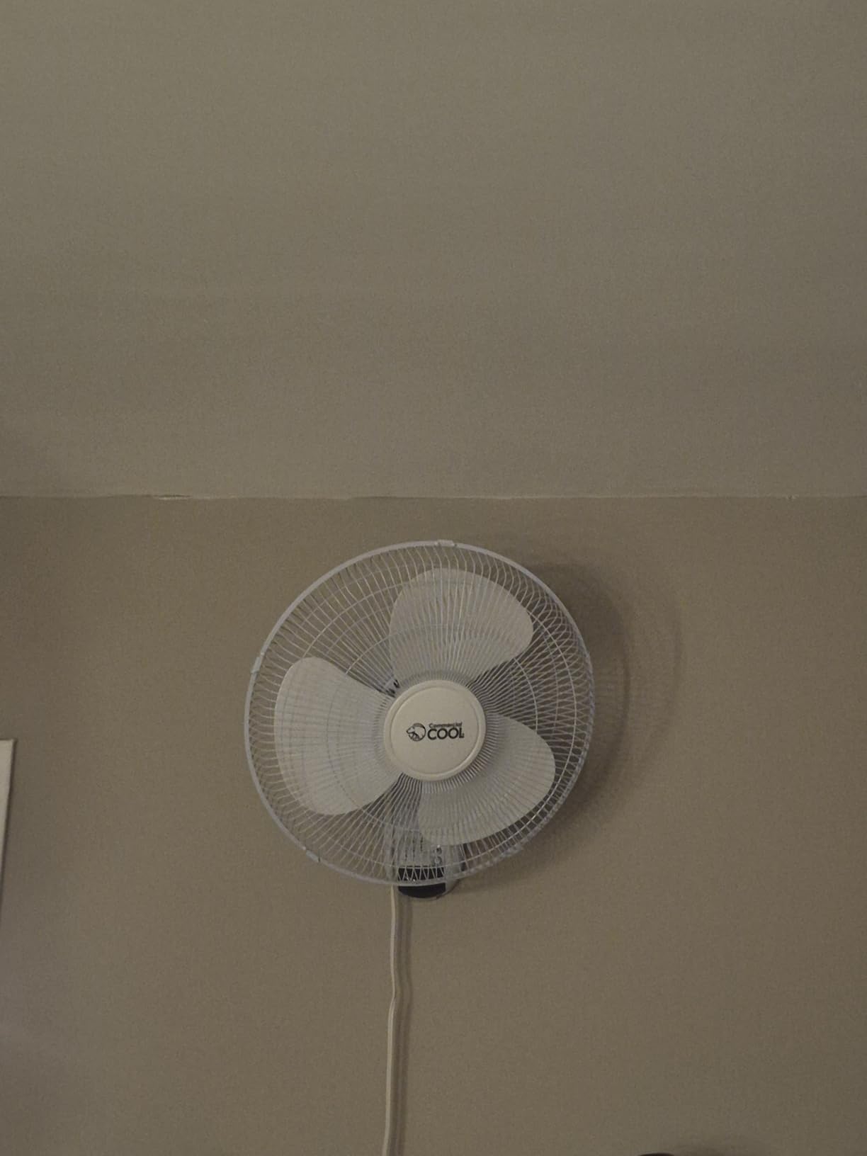 Commercial Cool 16 Inch High Velocity Floor Fan, Black, CFF16B customer photo 1