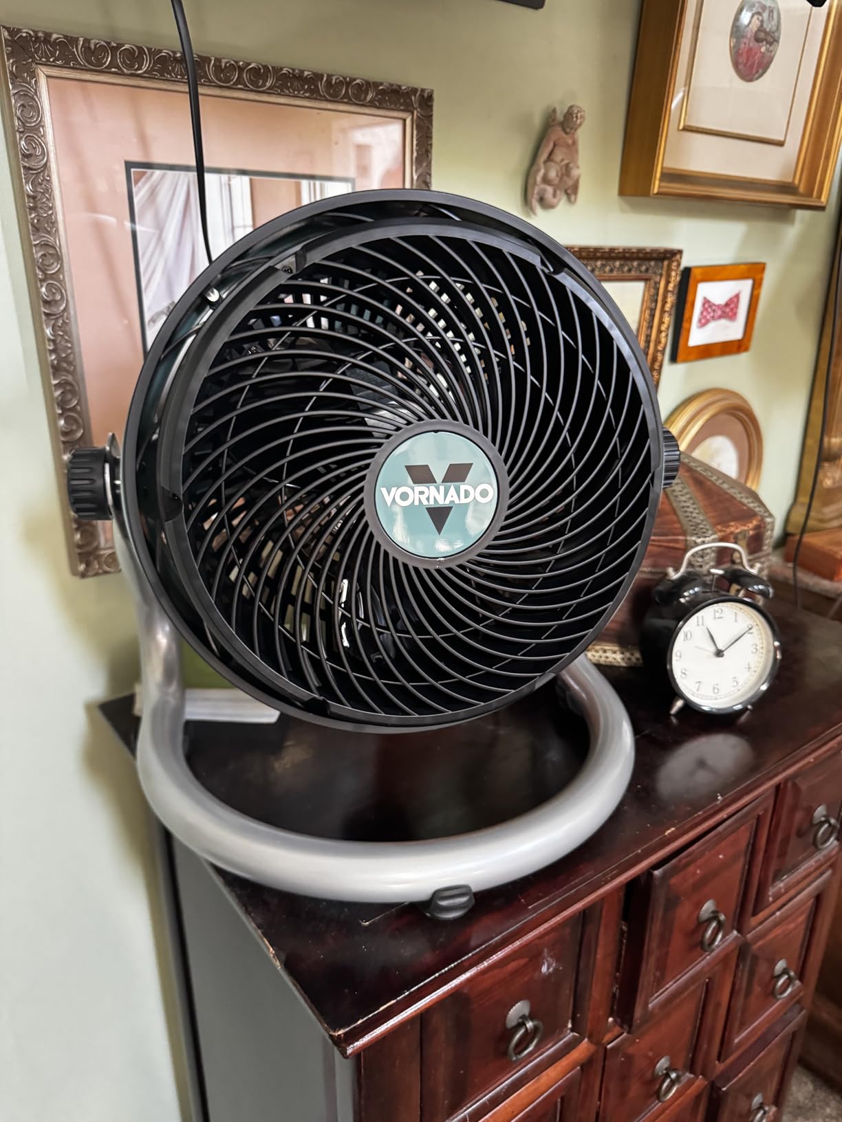 Vornado EXO51 Small Heavy Duty Air Circulator, 3-Speed High Velocity Shop Fan, Dustproof and Water-Resistant, Powerful Motor, Industrial High Impact Case, Whole Room Air Circulator, Green customer photo 1