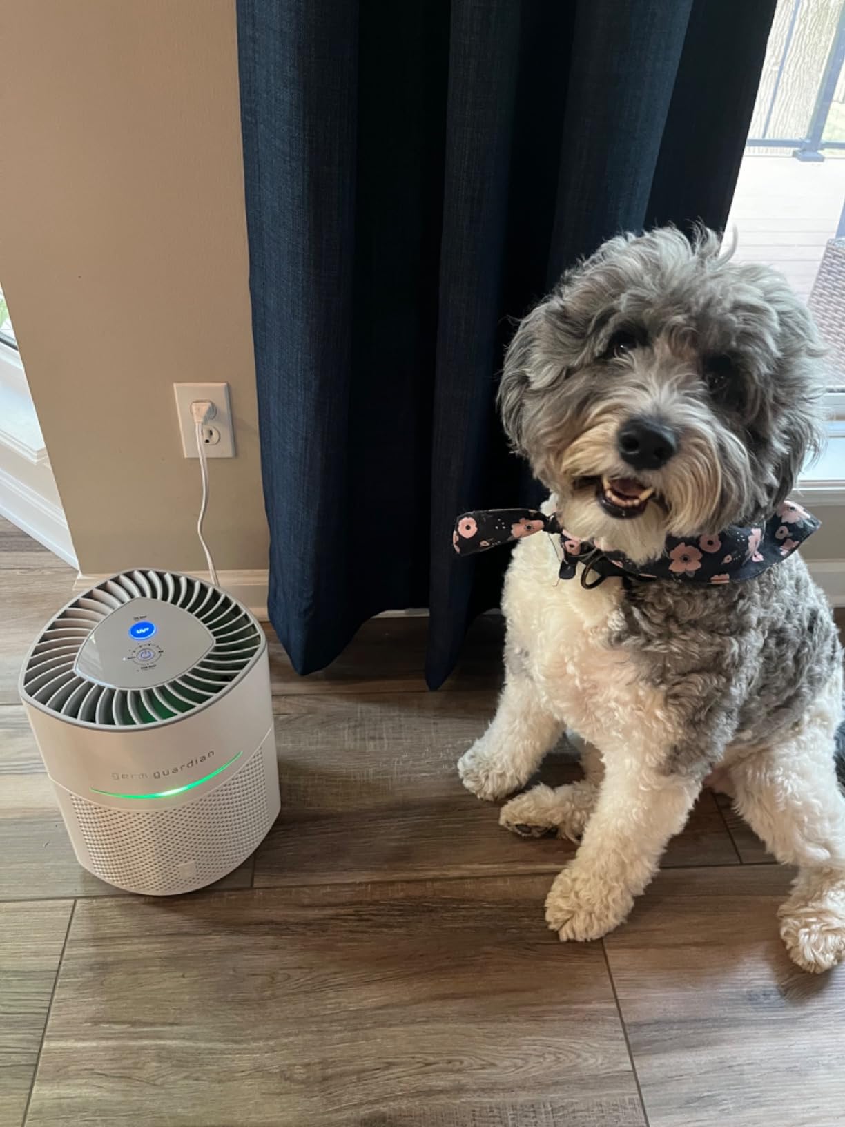 GermGuardian AC3000W Airsafe+ HEPA Air Purifier for Home, Large Rooms Up To 1043 Sq. Ft. with HEPA Air Filter, UV-C Light & Air Quality Sensor, White customer photo 2