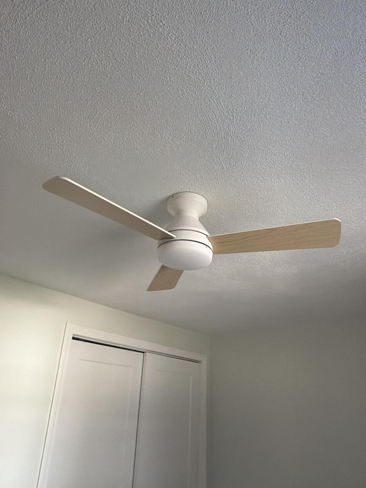 Amico Ceiling Fans with Lights, 30 inch Low Profile Ceiling fan with Light and Remote Control, Flush Mount, Reversible, 3CCT, Dimmable, Noiseless, Black Ceiling Fan for Bedroom, Indoor/Outdoor Use customer photo 2