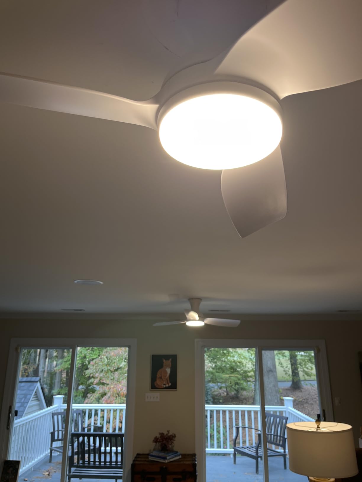 Consciot Ceiling Fan With Light, 44 Inch Low Profile Ceiling Fan with remote control, 6-speed choice, Reversible DC motor, 3CCT, Dimmable, Whisper, Easy Install, For Indoor and Covered Outdoor (black) customer photo 2
