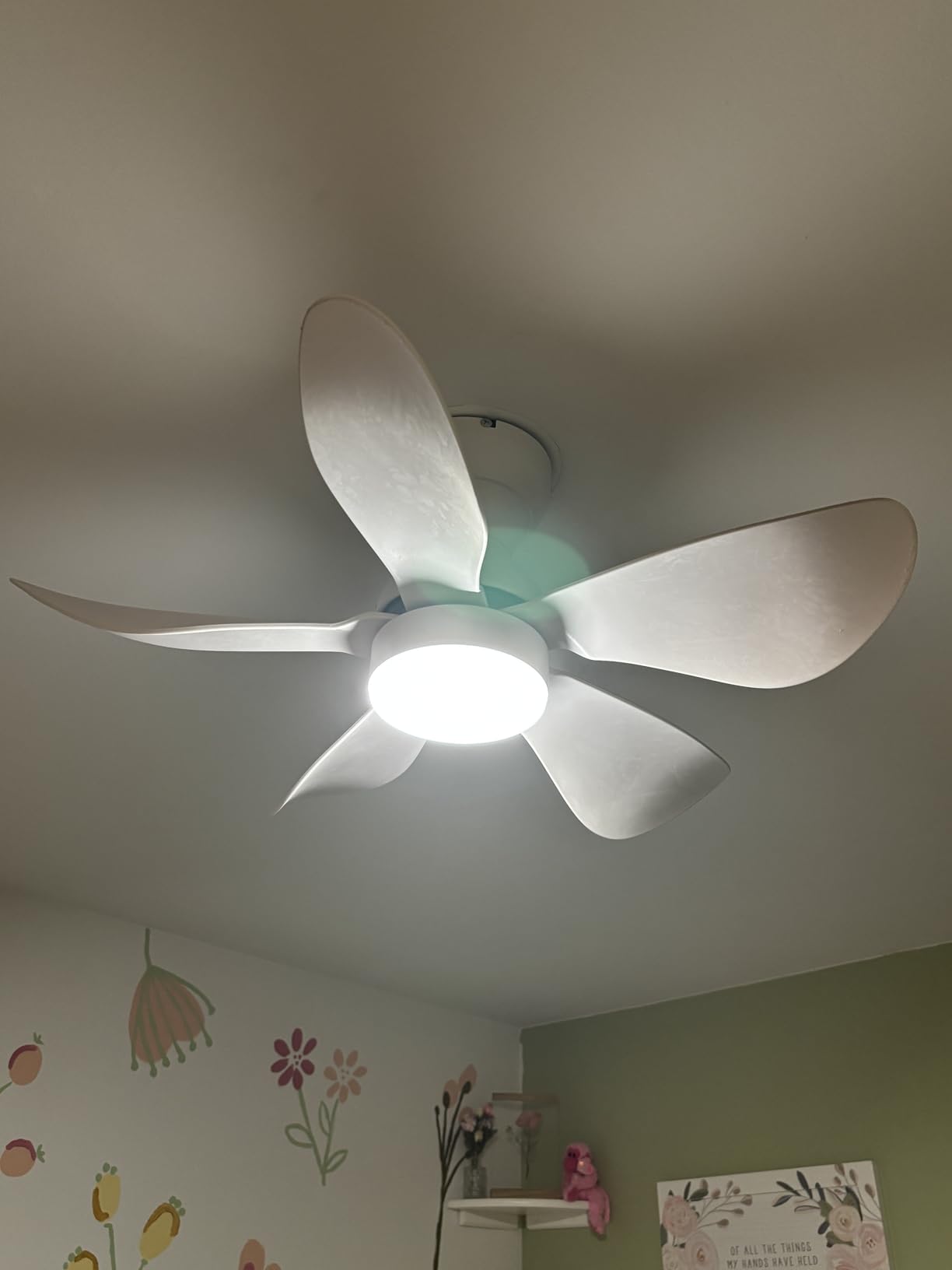 36 Inch Modern Ceiling Fans with Lights, Small Flush Mount Ceiling Fan, Remote/APP Control, 5 Reversible Curved Blades, 6 Speeds, 3 CCT Dimmable Lights for Kids Room Bedroom, Black customer photo 1