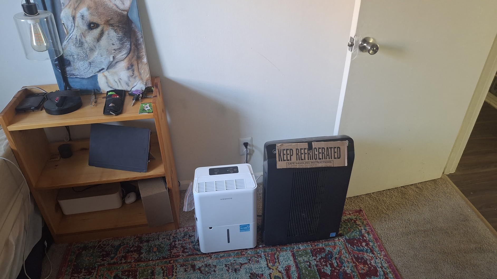 Kesnos 2,500 Sq. Ft. Energy Star 2025 Dehumidifier for Home & Basement, Ideal for Bedroom with Ultra Quiet 36 dB, 0.39-Gallon Water Tank with Drain Hose customer photo 1