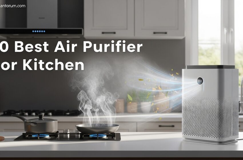  10 Best Air Purifier For Kitchen Expert Picks May 2026