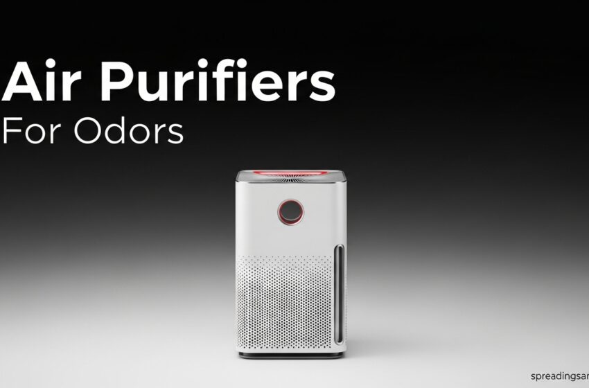  16 Best Air Purifiers For Odors You’ll Notice Instantly 2026