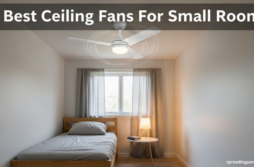  10 Best Ceiling Fans For Small Rooms Expert Picks May 2026