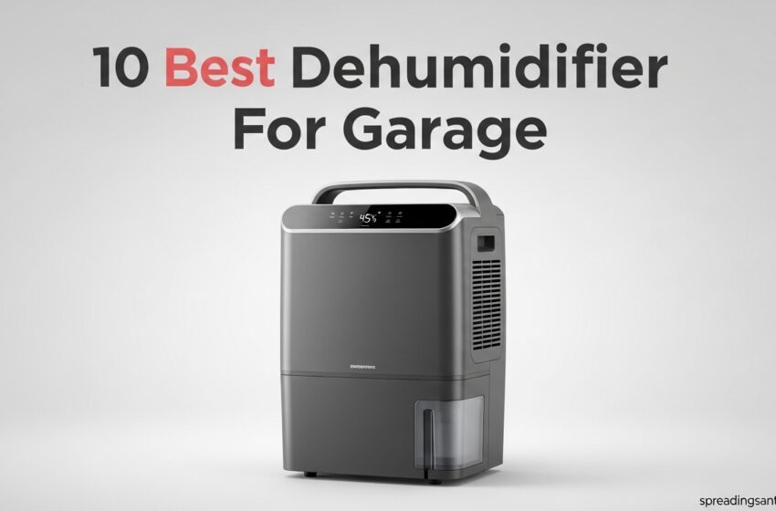  10 Best Dehumidifier For Garage Expert Picks May2026