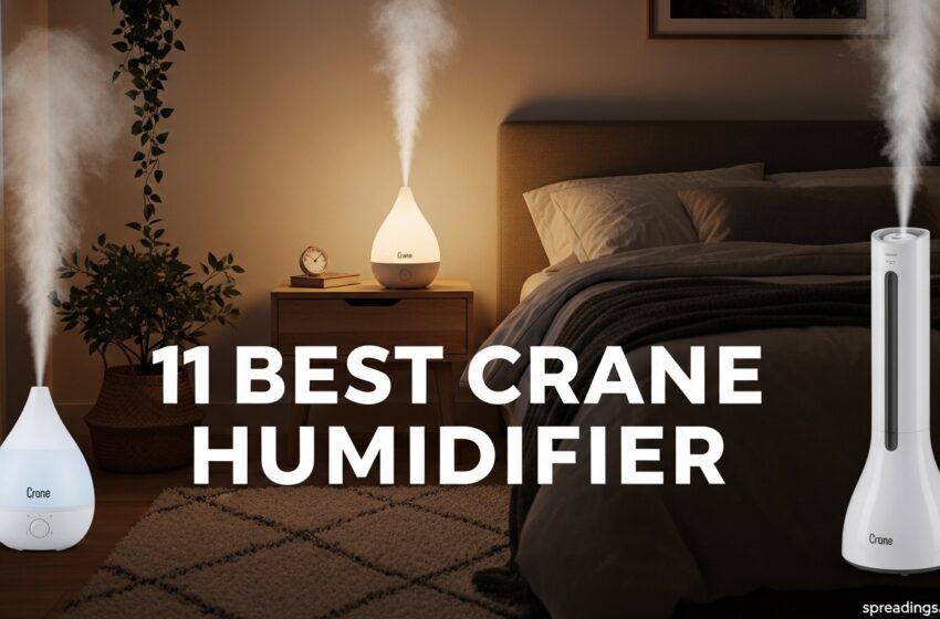  11 Best Crane Humidifier Complete Guide Reviews May 2026