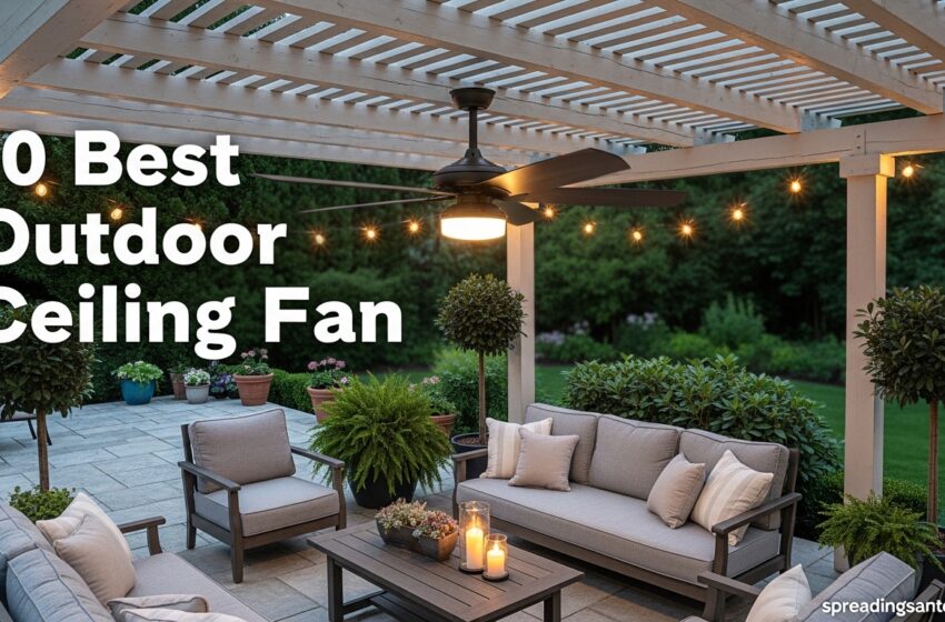  10 Best Outdoor Ceiling Fan Expert Reviews May 2026
