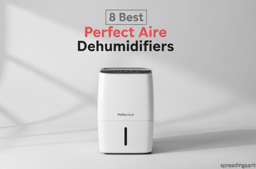  8 Best Perfect Aire Dehumidifiers Expert Reviews May2026