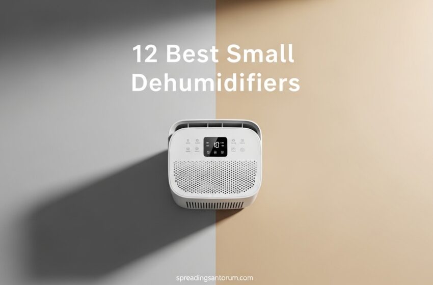  12 Best Small Dehumidifiers For Tiny Spaces May 2026
