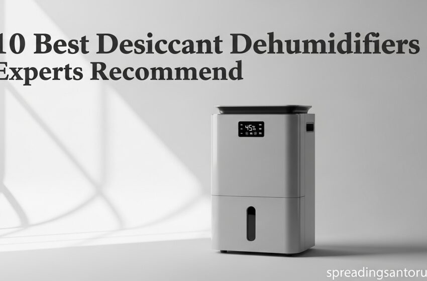  10 Best Desiccant Dehumidifiers Experts Recommend June 2026