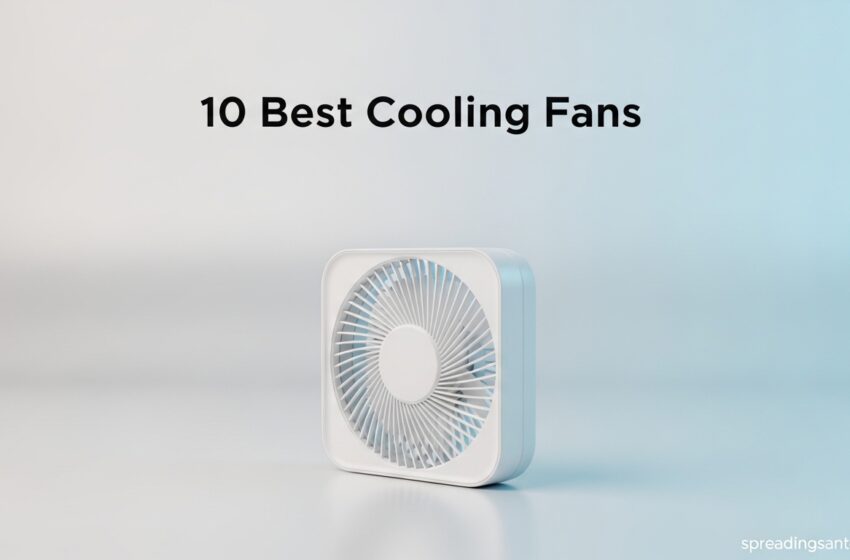  10 Best Cooling Fans For Summer Relief May 2026