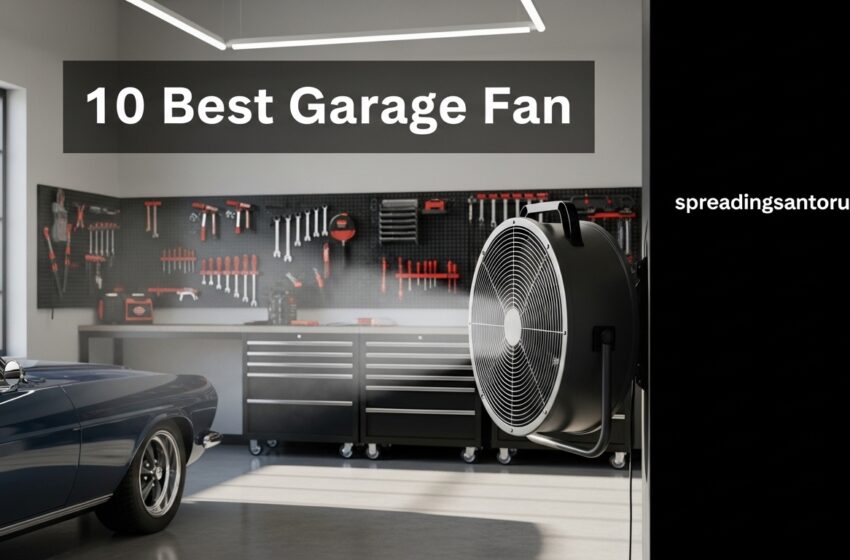  10 Best Garage Fan That Beat Heat Instantly May 2026