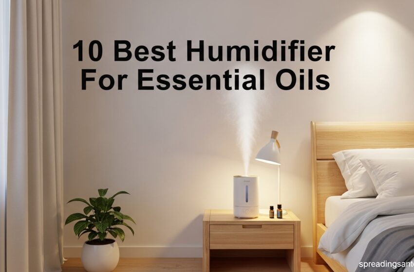  10 Best Humidifier For Essential Oils Expert Picks May 2026