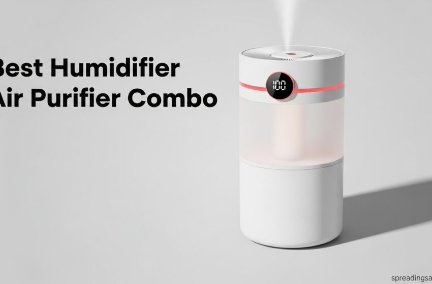  Best Humidifier And Air Purifier Combo June 2026