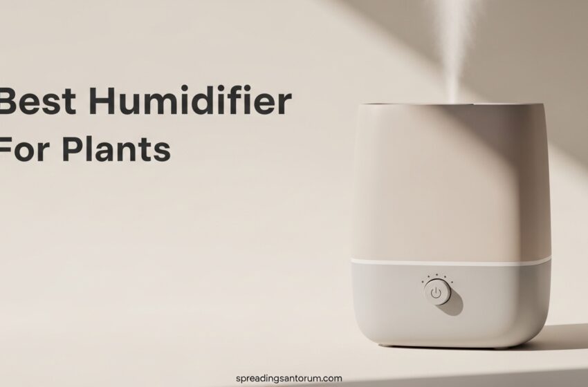  10 Best Humidifier For Plants That Boost Growth May 2026