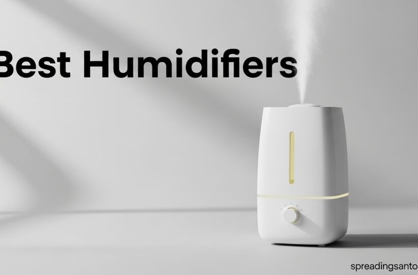  8 Best Humidifiers You Need Right Now May 2026