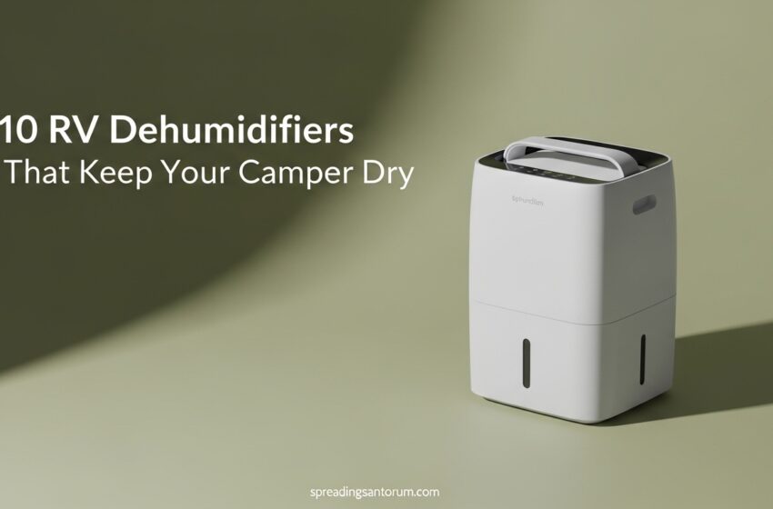  10 Best RV Dehumidifiers Experts Recommend June 2026