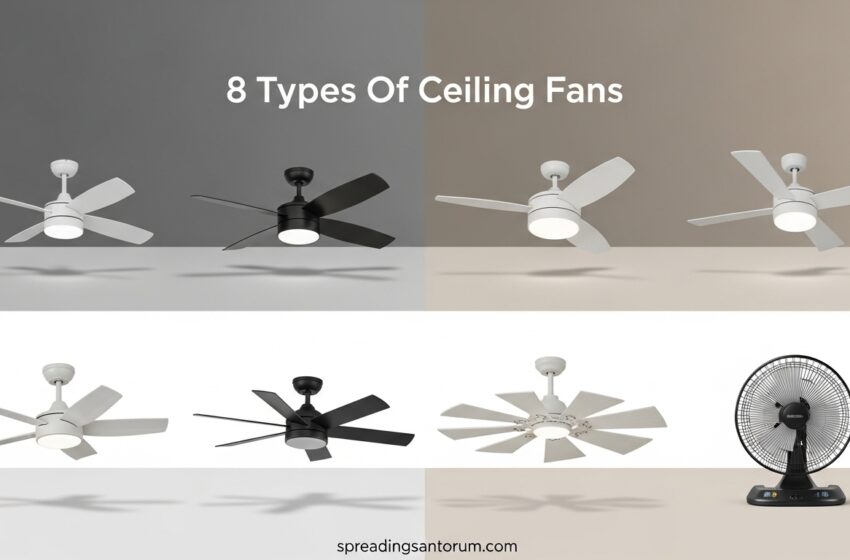 8 Types Of Ceiling Fans You Should Know May 2026