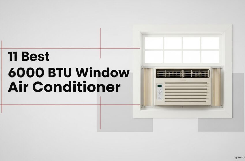  11 Best 6000 BTU Window Air Conditioner Reviews May 2026