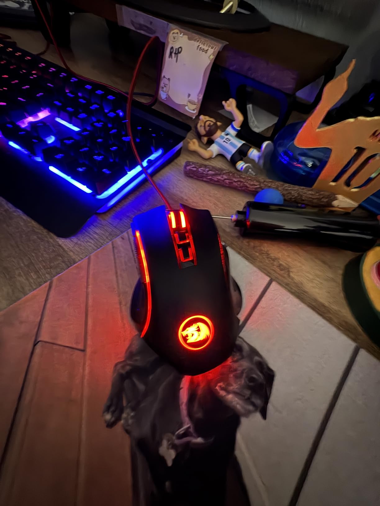 Redragon M602 Gaming Mouse, Ergonomic RGB Gaming Mouse Wired with 7200 Adjustable DPI, 9 Programmable Buttons customer photo 2