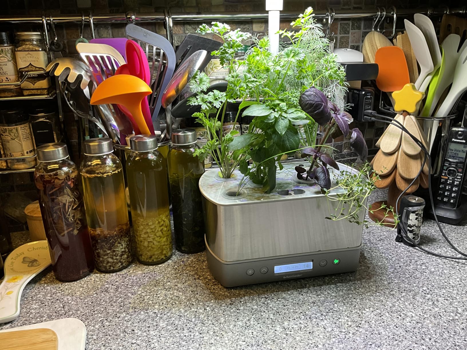 AeroGarden Harvest Elite, Stainless Steel | Indoor Garden with LED Grow Light customer photo 1